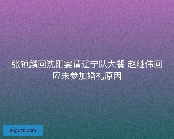 张镇麟回沈阳宴请辽宁队大餐 赵继伟回应未参加婚礼原因