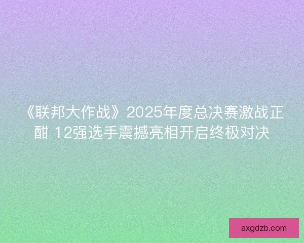 《联邦大作战》2025年度总决赛激战正酣 12强选手震撼亮相开启终极对决